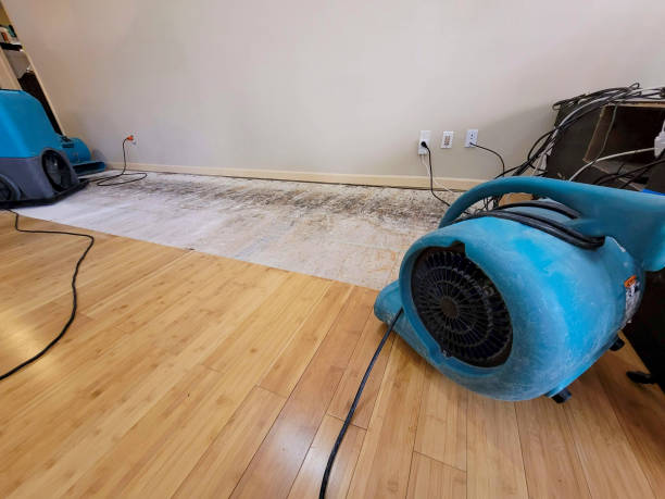 Professional Emergency Water Damage technician working in Cocoa Beach, FL